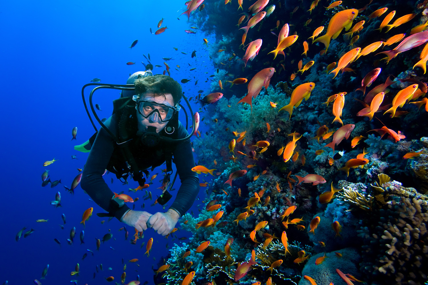rekomendasi spot diving terbaik di Indonesia